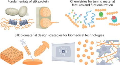  Bionanocellulose: Un matériau polyvalent pour la médecine régénérative et les dispositifs biomédicaux implantables !