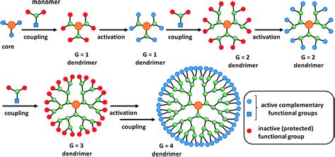 Dendrimers: Des Structures Arborescantes pour la Biomédecine de Demain !