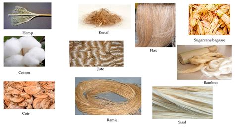 Jute: Exploration de ses Applications en Composites et Textiles Durables!