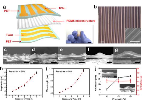  MoS2 pour l'électronique flexible et les capteurs ultrasensibles!