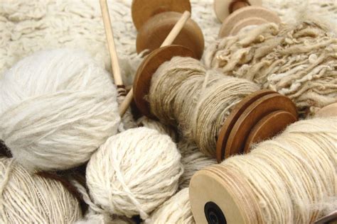  Quince: Une Fibres Naturelles pour une Construction Durable !