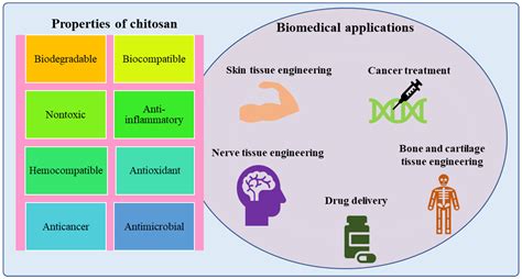  Quinine: Un Agent Antimalarique Prodigieux pour les Applications Biomédicales de Pointe !