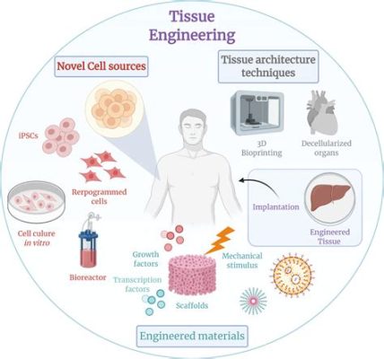  Tantalum: Applications en Ingénierie Tissulaire et Biocompatibilité Exceptionnelle!